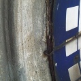 Detail Detail